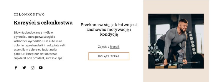 Korzyści dla członków Szablon