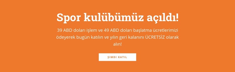 Başlık ve düğme içeren metin Web sitesi tasarımı