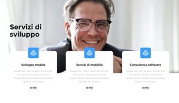 Servizi Di Sviluppo Di Applicazioni - Modello Di E-Commerce