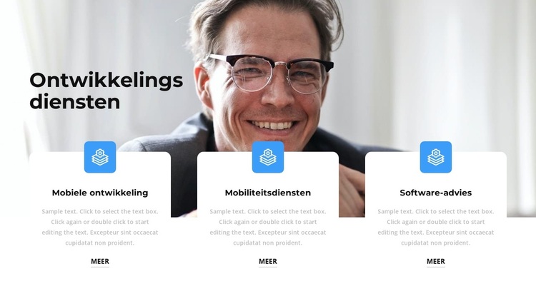 Diensten voor applicatieontwikkeling WordPress-thema