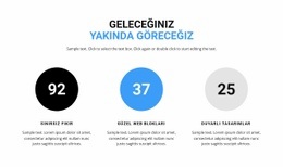 Özellik Sayacı - Web Sitesi Tasarımı