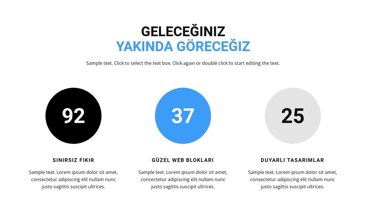 Özellik sayacı Web Sitesi Şablonu