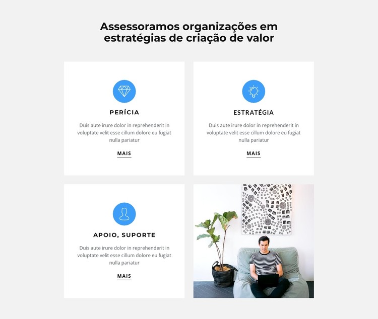 Características e fotos Template CSS