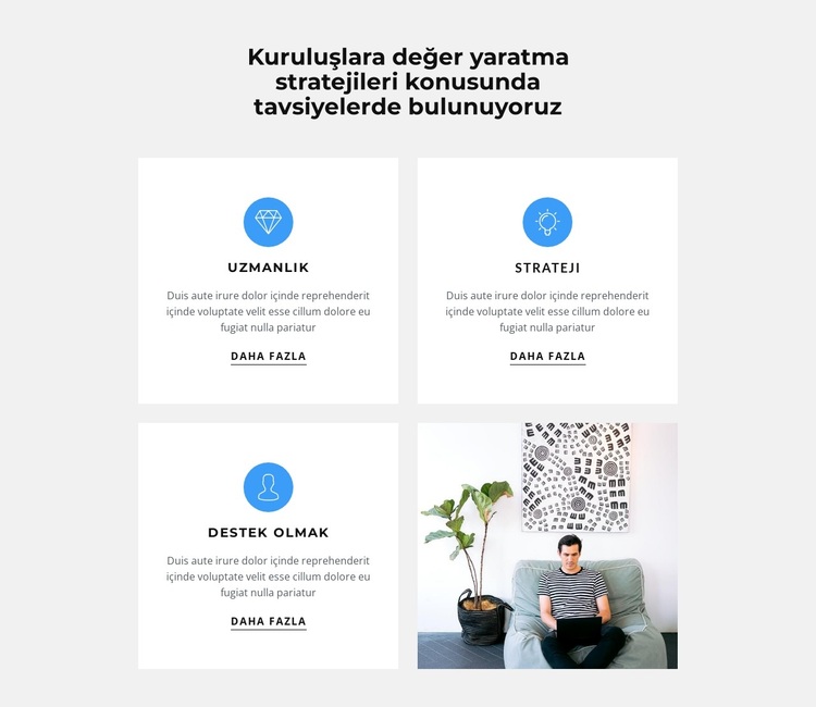 Özellikler ve fotoğraflar WordPress Teması