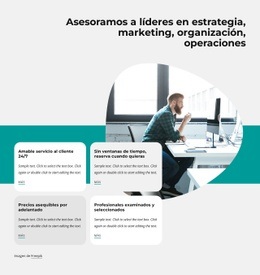 Diseñador De Sitios Web Para Firma Global De Asesoría De Negocios