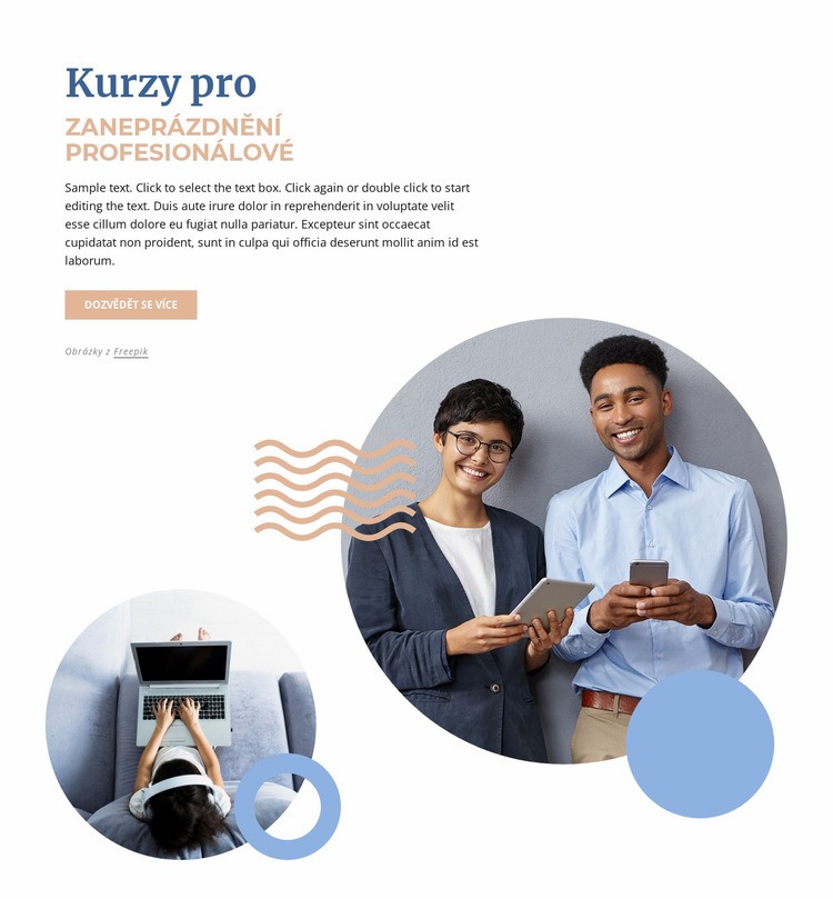 Kurzy pro buzy profesionály Téma WordPress