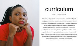 Currículum Del Gerente General - Maqueta De Estructuras Alámbricas