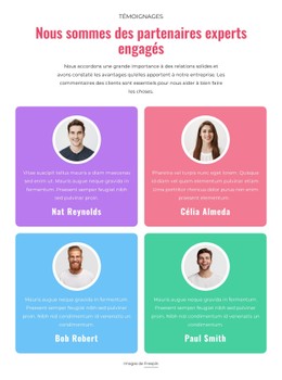HTML Réactif Pour Répéteur De Grille De Témoignages