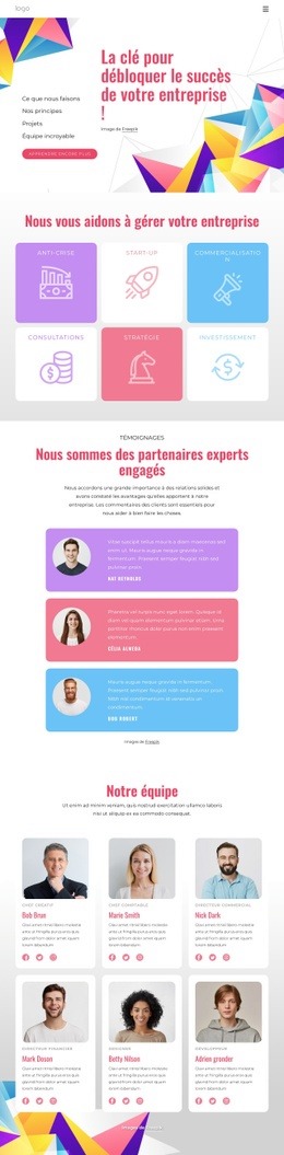 Comment Débloquer Le Succès De La Marque - Page De Destination Simple