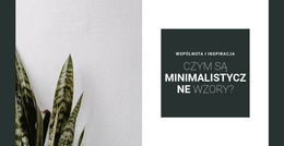 Minimalizm W Kolorach - Funkcjonalność Motywu WordPress