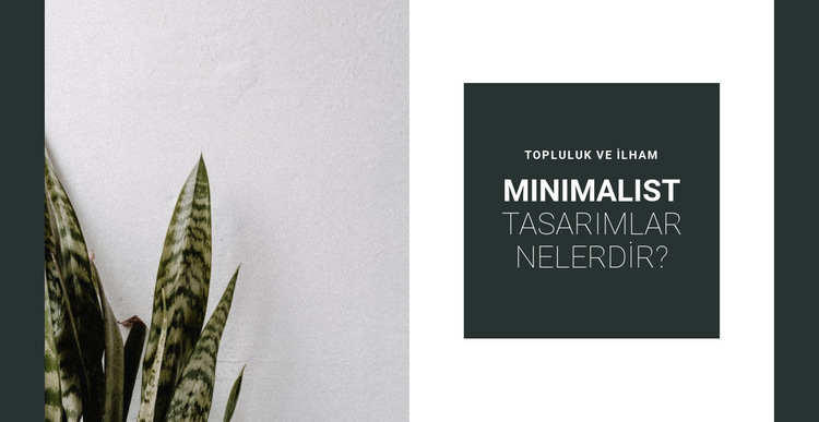 Renklerde minimalizm Web Sitesi Şablonu