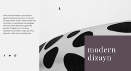 Mimaride Yabancı Formlar - Işlevsellik WordPress Teması