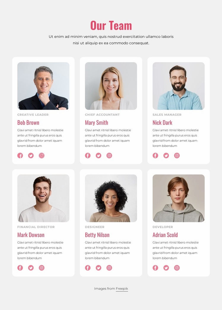 Meet the team block Web Page Design