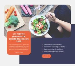 Diseño Del Sitio Web Para Los Mejores Programas Para Bajar De Peso.