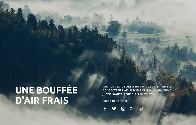 Bouffée d'air frais Modèle de site Web