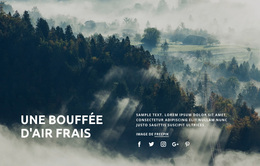 Bouffée D'Air Frais