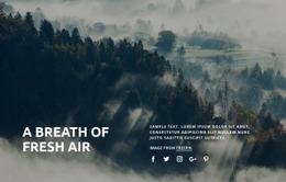 Breath Of Fresh Air