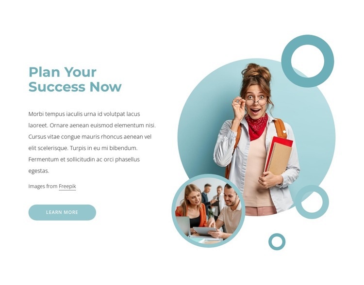 Success сonsulting services Homepage Design