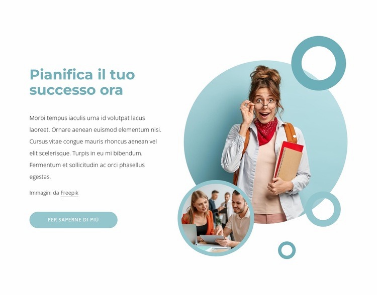 Servizi di consulenza di successo Costruttore di siti web HTML