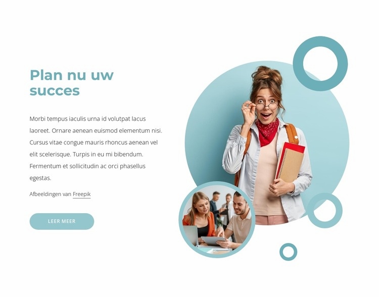 Succes сadviesdiensten Html Website Builder