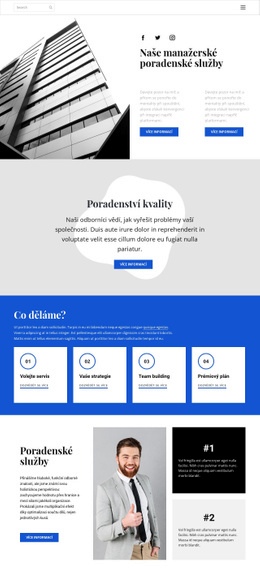 Vyvíjíme A Pomáháme Vám – Moderní Téma WordPress