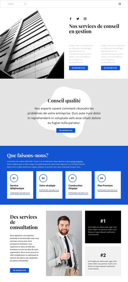 Nous Développons Et Vous Aidons - Modèle De Page HTML