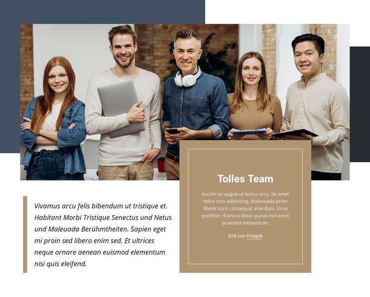 Tolles Team Website design