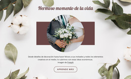 Hermoso Momento De La Vida - Descarga De Plantilla HTML