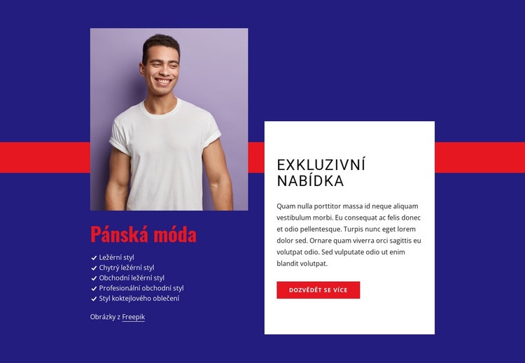 Exkluzivní nabídka Webový design