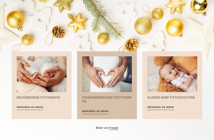 Neugeborenen- und Babyfotografie Website-Modell