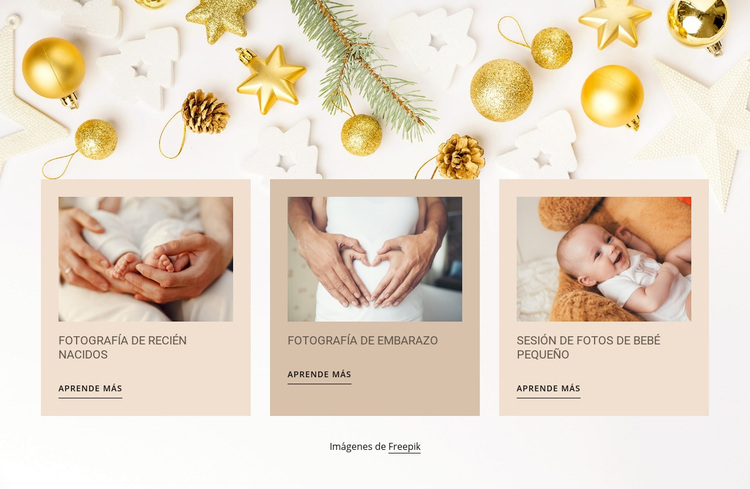Fotografía de recién nacidos y bebés Tema de WordPress