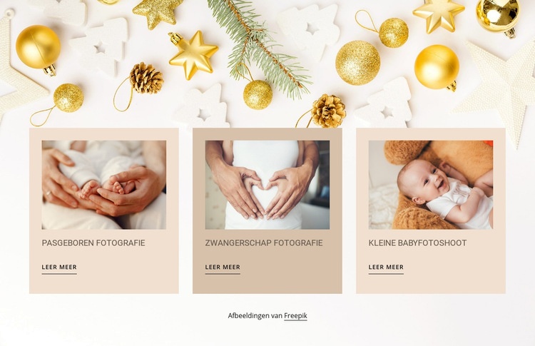 Pasgeboren en babyfotografie Website Builder-sjablonen