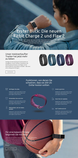 Flex 2 – Fertiges Website-Design