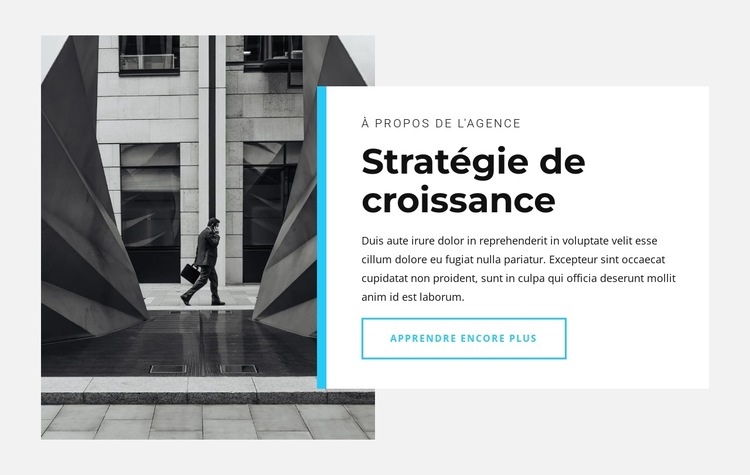 Notre stratégie de croissance Conception de site Web