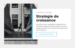Notre Stratégie De Croissance – Thème WordPress