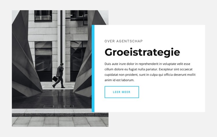 Onze groeistrategie CSS-sjabloon