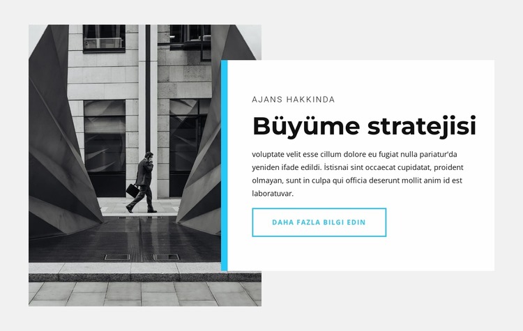 Büyüme stratejimiz Joomla Şablonu