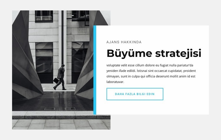 Büyüme stratejimiz Web Sitesi Mockup'ı