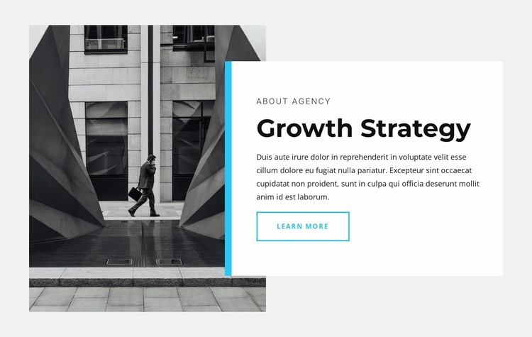Our growth strategy Website Template
