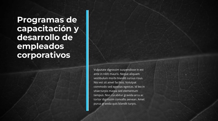 Negocios Innovadores Creador de sitios web HTML