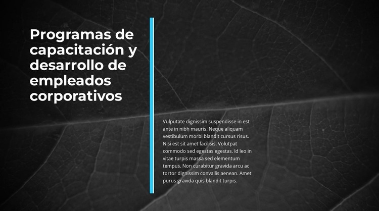 Negocios Innovadores Diseño de páginas web