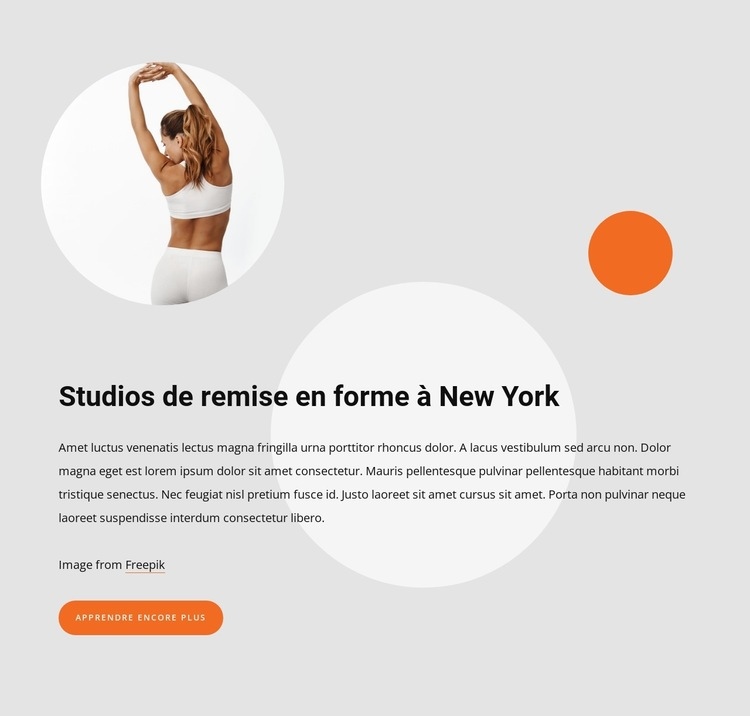Fitness studios in New York Maquette de site Web