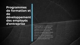 Entreprise Innovante – Modèles De Conception De Sites Web