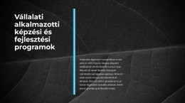 Innovatív Üzlet - HTML Webhelysablon