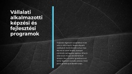 Innovatív Üzlet - Gyönyörű Színgyűjtő Sablon