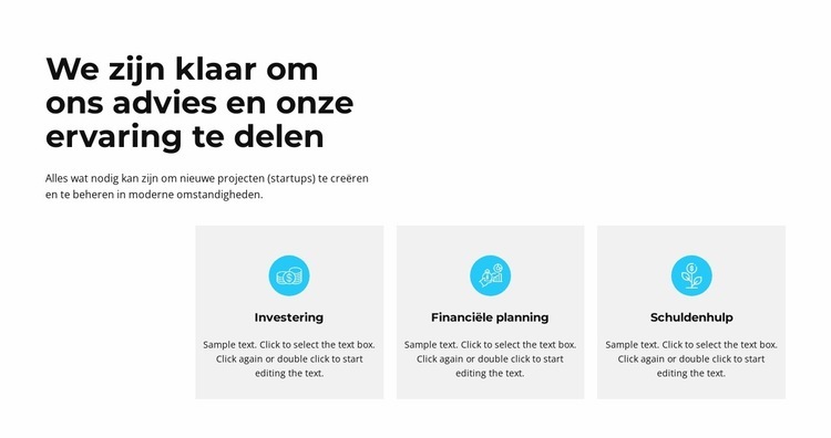 Eersteklas zakelijk advies HTML5-sjabloon