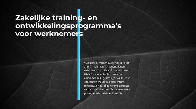 Innovatieve zaken Website ontwerp