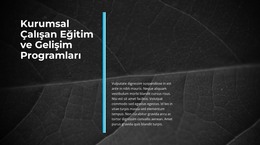 Yenilikçi İş - HTML Web Sitesi Şablonu