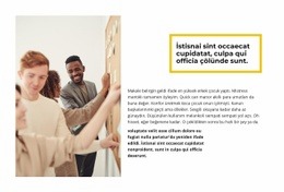 Arama Sonuçlarının En Üstü - Kullanımı Kolay Tek Sayfalık Şablon