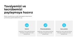 Birinci Sınıf İş Danışmanlığı - Özel WordPress Teması